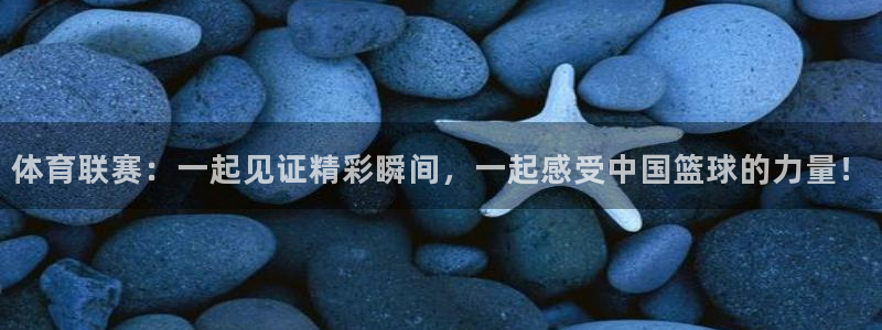 体育联赛：一起见证精彩瞬间，一起感受中国篮球的力量！