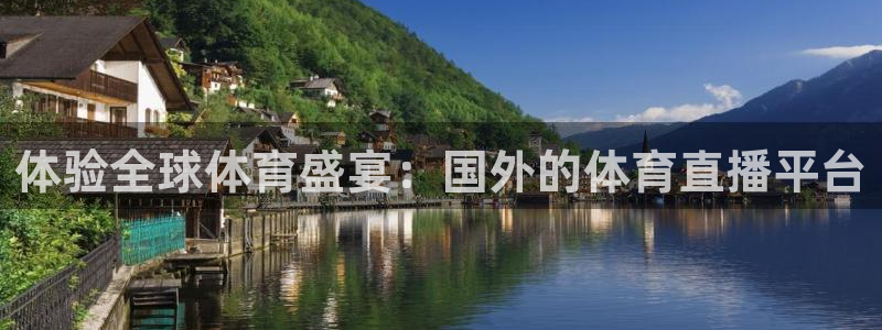 体验全球体育盛宴：国外的体育直播平台