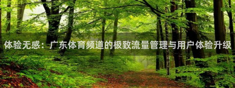 体验无感：广东体育频道的极致流量管理与用户体验升级