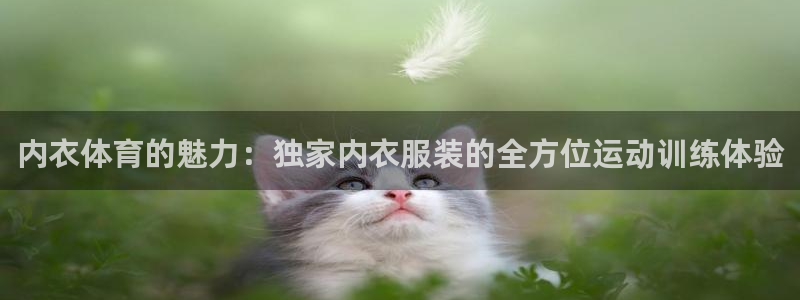 内衣体育的魅力：独家内衣服装的全方位运动训练体验
