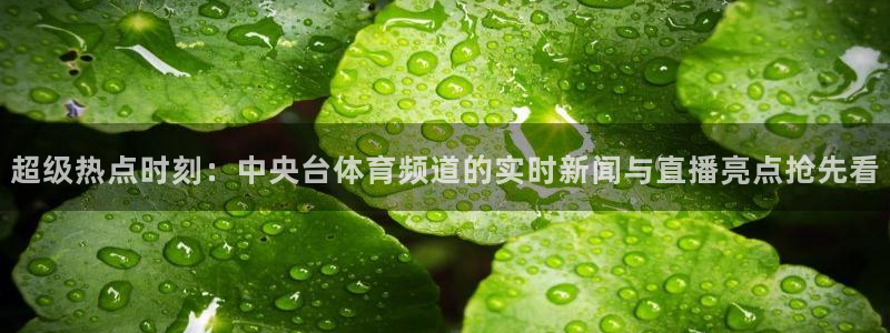超级热点时刻：中央台体育频道的实时新闻与直播亮点抢先看