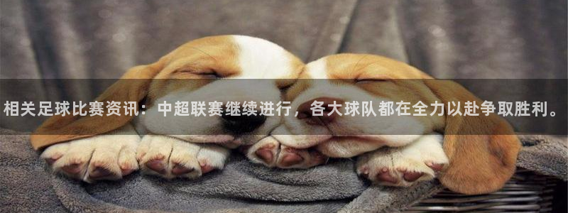 相关足球比赛资讯：中超联赛继续进行，各大球队都在全力以赴争取胜利。